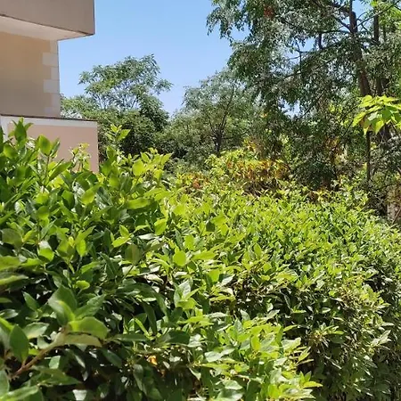 L'oasi קזאל ולינו