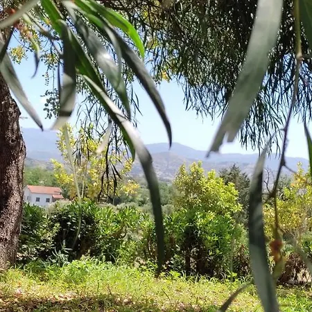 L'oasi Farm stay