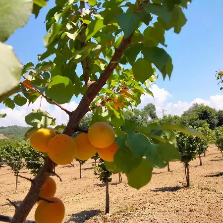 L'oasi Farm stay
