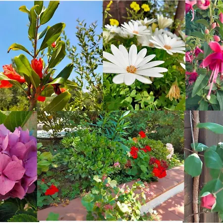 Farm stay L'oasi *